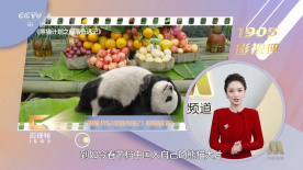 久草在线久草在线